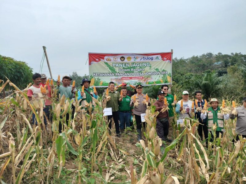 Foto : Kegiatan Tanam Jagung antara PT. ITCHI dengan Warga Desa Jonggon Jaya