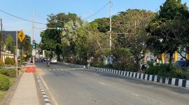 Foto : Pelican Cross Di Depan Teras Samarinda