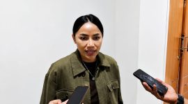 Wakil Ketua DPRD Kota Samarinda, Celni Pita Sari.