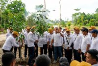 Foto: Bupati Kabupaten Bulungan, Syarwani (tengah) saat memimpin penanaman pohon di hutan Kota Bunda Hayati, bersama 74 Kades.