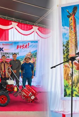 Pasokan Ayam Potong Bulungan Defisit 6.500 Ekor per Hari, Syarwani Dorong Desa Kembangkan Peternakan