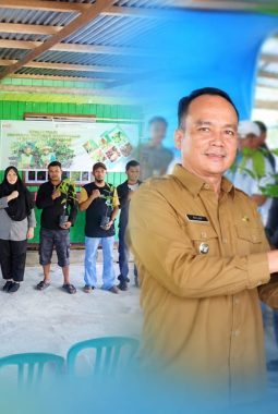 Pemkab Bulungan Salurkan 15.830 Bibit Sawit dan Kakao, Dorong Produktivitas Petani