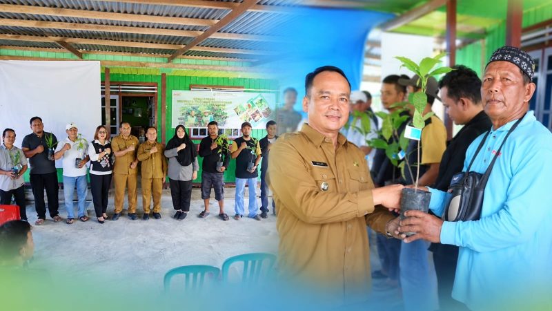 Foto: Wakil Bupati Bulungan, Kilat, saat membagikan ribuan bibit sawit dan kakao kepada masyarakat.