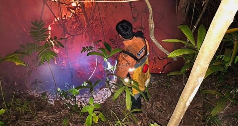 Foto: Potret petugas BPBD PPU memadamkan karhutla hingga larut malam. (Dok.Pusdalopsbpbdppu)
