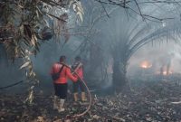 Foto: Potret petugas Damkar memadamkan Karhutla PPU. (Dok.PusdalopsPPU)