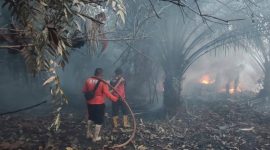 Foto: Potret petugas Damkar memadamkan Karhutla PPU. (Dok.PusdalopsPPU)
