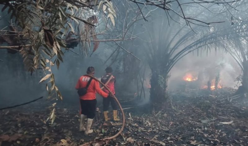 Foto: Potret petugas Damkar memadamkan Karhutla PPU. (Dok.PusdalopsPPU)