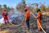 Foto: Potret petugas gabungan melakukan pemadaman Karhutla lanjutan di RT 16, Kecamatan Petung, PPU. (Dok.Pusdalops-BPBDPPU)