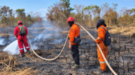 Foto: Potret petugas gabungan melakukan pemadaman Karhutla lanjutan di RT 16, Kecamatan Petung, PPU. (Dok.Pusdalops-BPBDPPU)