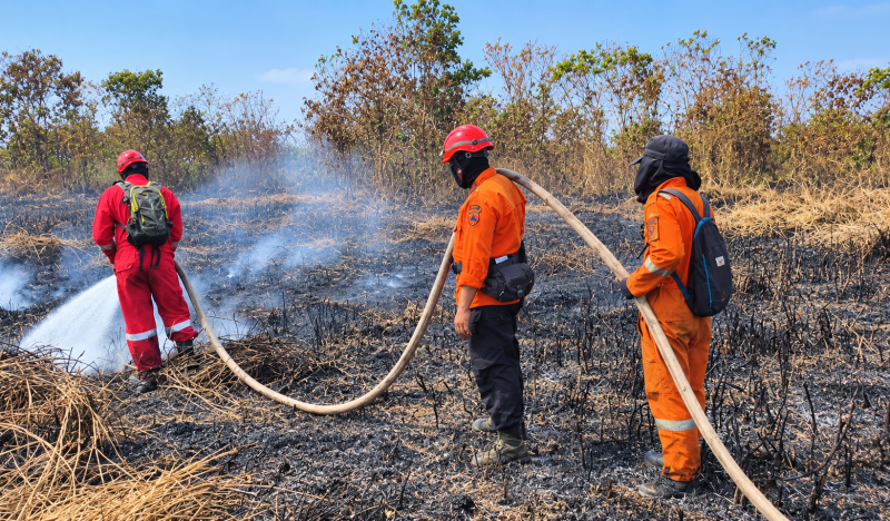 Foto: Potret petugas gabungan melakukan pemadaman Karhutla lanjutan di RT 16, Kecamatan Petung, PPU. (Dok.Pusdalops-BPBDPPU)