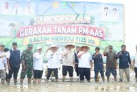 Foto: Bupati PPU, Mudyat Noor (tengah) bersama pihak terkait saat menghadiri Gerakan Tanam Padi melalui program Pertanian Modern Advance Agriculture System (PM AAS) bersama Kelompok Tani Sidodadi dan Sido Muncul di Desa Bangun Mulya, Kecamatan Waru.