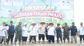 Foto: Bupati PPU, Mudyat Noor (tengah) bersama pihak terkait saat menghadiri Gerakan Tanam Padi melalui program Pertanian Modern Advance Agriculture System (PM AAS) bersama Kelompok Tani Sidodadi dan Sido Muncul di Desa Bangun Mulya, Kecamatan Waru.