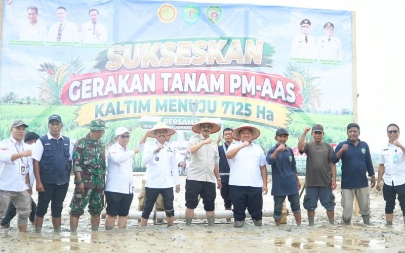 Foto: Bupati PPU, Mudyat Noor (tengah) bersama pihak terkait saat menghadiri Gerakan Tanam Padi melalui program Pertanian Modern Advance Agriculture System (PM AAS) bersama Kelompok Tani Sidodadi dan Sido Muncul di Desa Bangun Mulya, Kecamatan Waru.