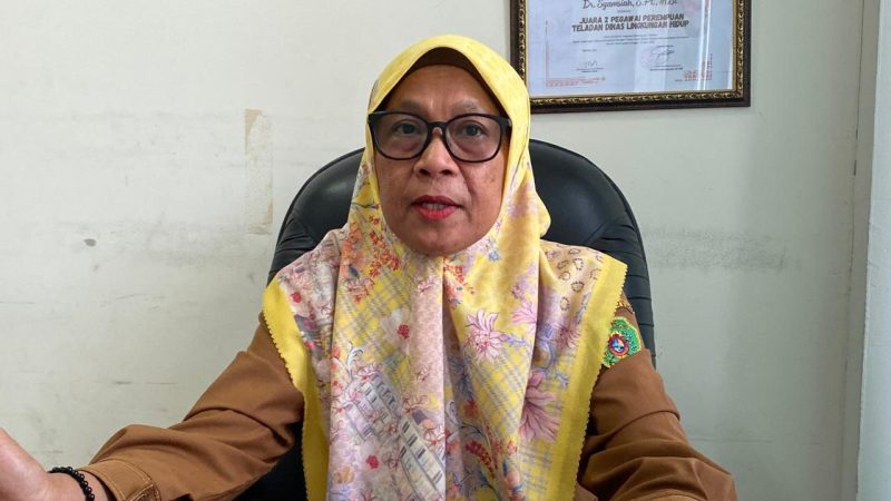 Foto: Sekretaris DLH Kabupaten Penajam Paser Utara, Syamsiah.