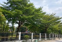 Foto: Kawasan Hutan Kota Kabupaten Penajam Paser Utara yang diusulkan untuk direboisasi setelah terdampak kebakaran.
