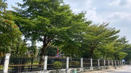 Foto: Kawasan Hutan Kota Kabupaten Penajam Paser Utara yang diusulkan untuk direboisasi setelah terdampak kebakaran.